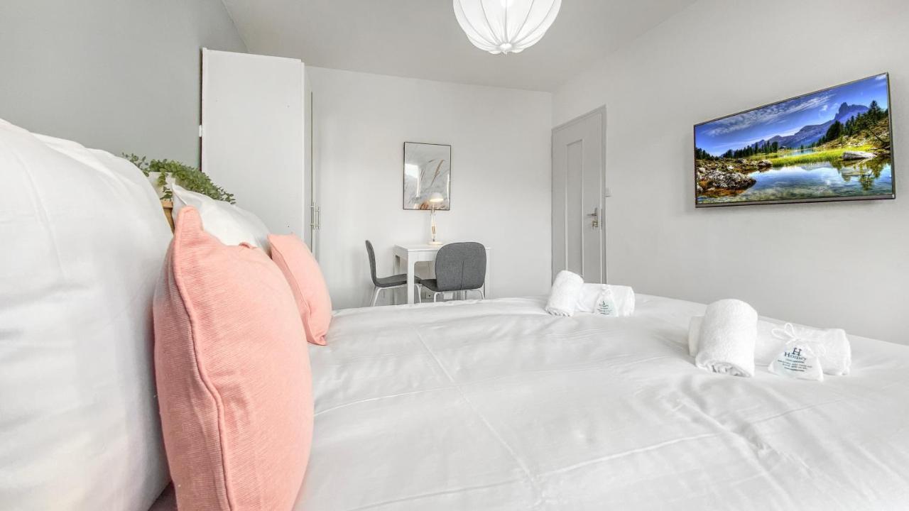 Homey Coloc Goodlife - Colocation Moderne - Chambres Privees - Wifi Et Netflix - Au Pied Du Tram Pour Geneve Ambilly Exterior foto